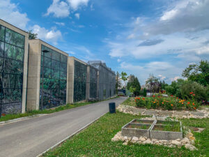 gradina-zoologica-brasov