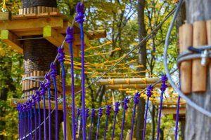 club-aventura-vila-franka-sighisoara