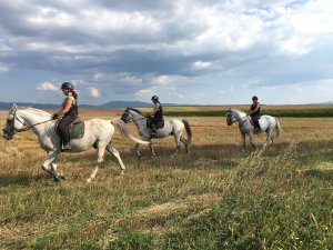 clubul-ecvestru-sacramento