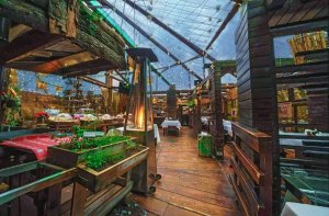 restaurant-forest-sinaia