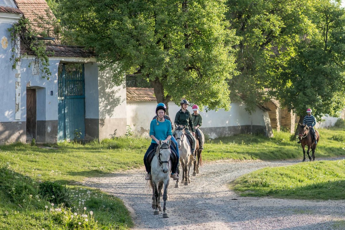 Transylvania on Horseback