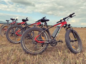 biciclete-electrice-dragus