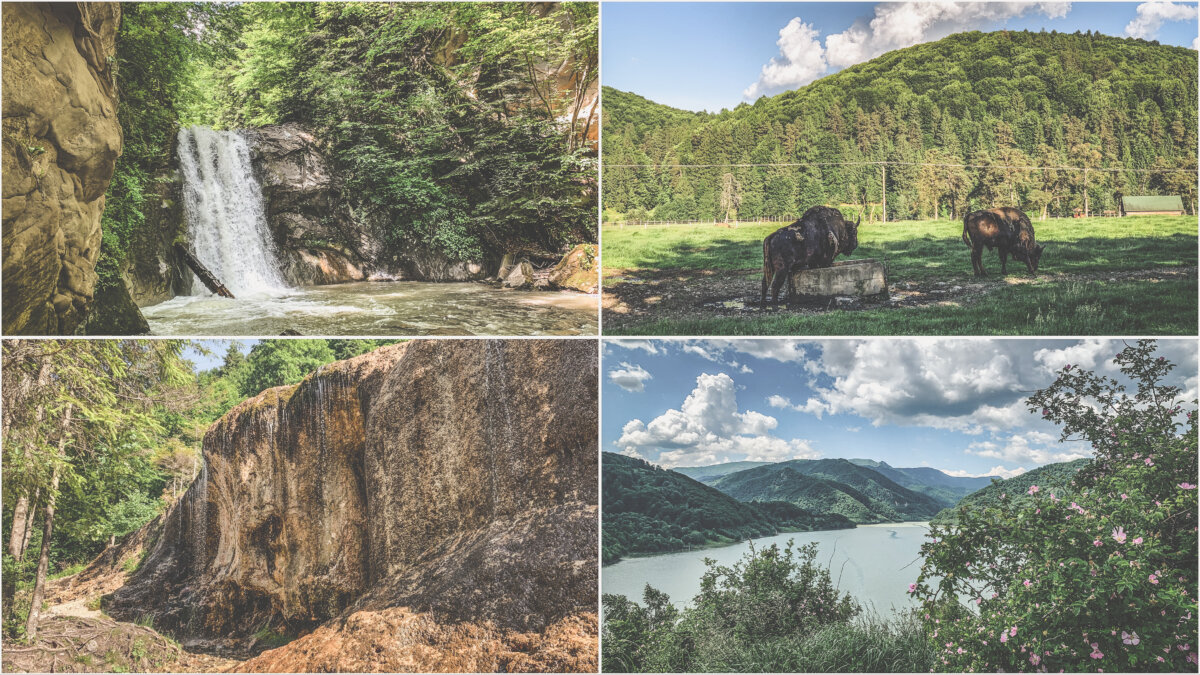 Tură prin natură. Opriri la Cascada Pruncea, Lacul Siriu, Cascada Urlătoarea și Valea Zimbrilor.